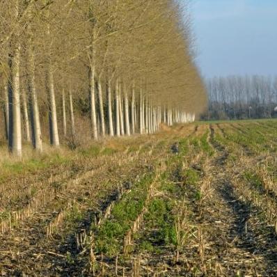 REGENSOILL: Building a Living Lab for Soil Restoration in Lille Metropole