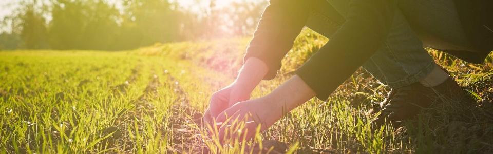Lille Metropole awarded national five-star label for ecological transition leadership