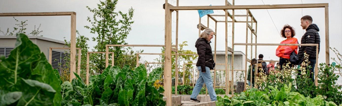 Promoting urban farming solutions in Lille Metropole