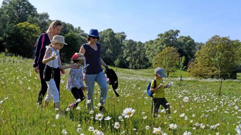 Lille Metropole’s natural areas season kicks off, for the greatest pleasure of outdoors lovers 