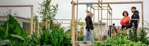 Promoting urban farming solutions in Lille Metropole 
