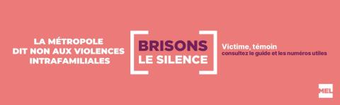 Lille Metropole on the frontline in the prevention of domestic violence